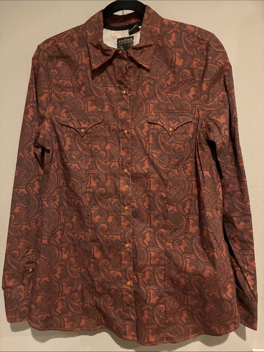 Roper Men's Paisley Snap Western Shirt - Brown & Maroon